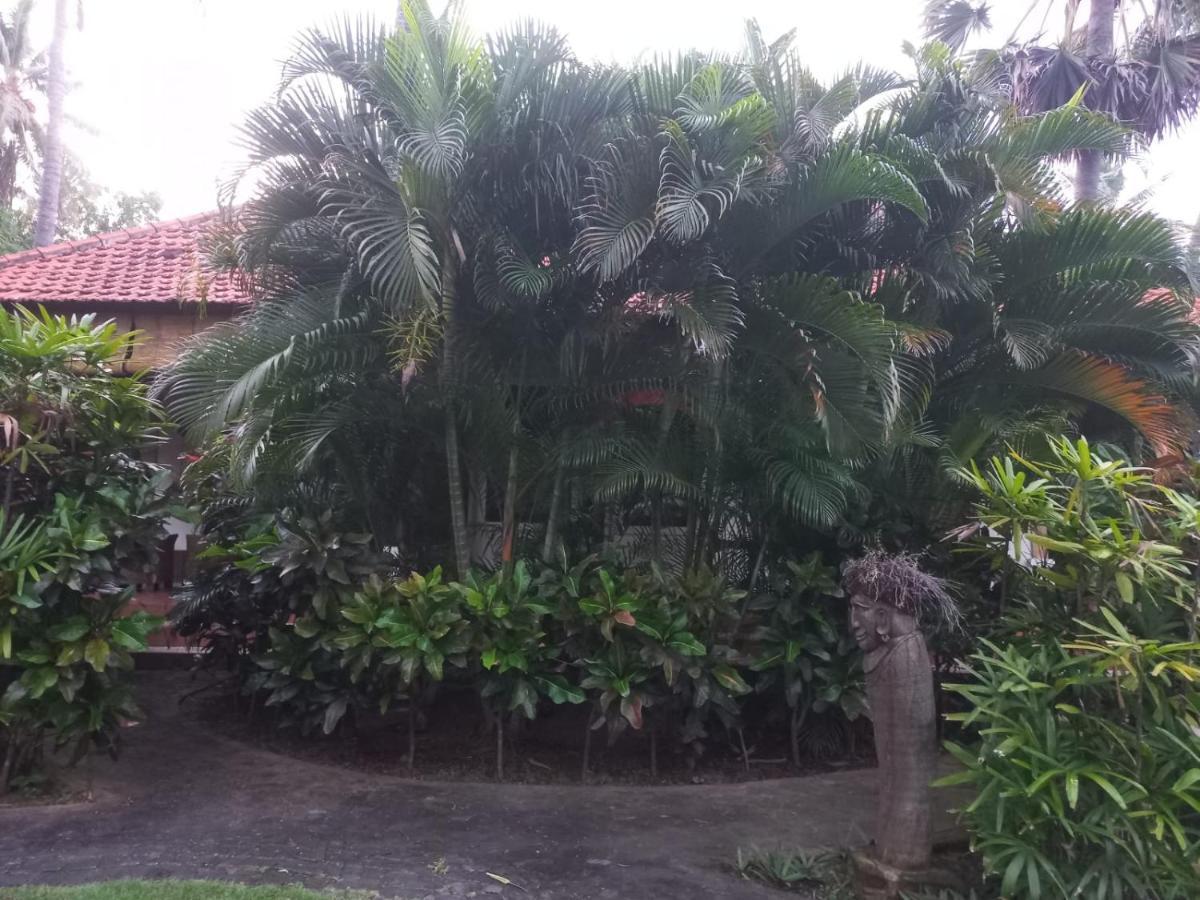 Bali North Beach B&B Tianyar Exteriör bild